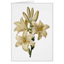 Lily Watercolor Thank You Card
