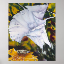 Lily with Bee Fine art Print