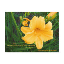 Lily with Quote Postcard
