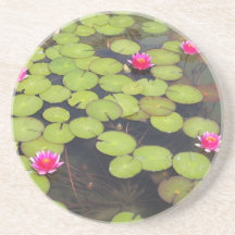 lilypad coaster