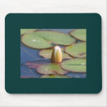Lilypad Mouse Pad mousepads