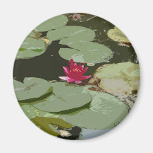 Lilypads Impressionism  Art Fridge Magnets