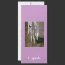 Lilypads rack cards