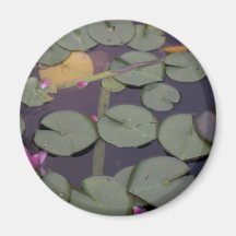 Lilypads Refrigerator Magnet