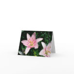 lilys cards