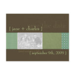 Lime & Chocolate Photo Save the Date Postcard