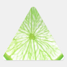 Lime Fruit Slice Isolated Over White Background Triangle Stickers