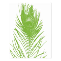 Lime Green Peacock Feather Postcard