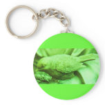 Lime Statuary Bird Keychains