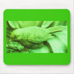 Lime Statuary Bird Mouse Pads