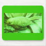 Lime Statuary Bird Mouse Pads