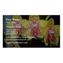 Lime Vanda flowers Business Card Template