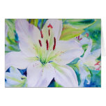 Lime Zest cards