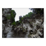 Limestone Caves cards
