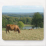 Limousin cattle in the Creuse Mousepad