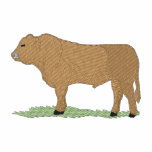 Limousin embroidered shirts