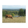 limousin post card
