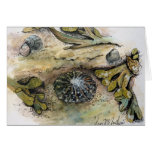 "Limpets, Periwinkle and Bladder Wrack" cards