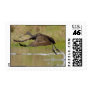 Limpkin Stamps