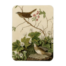 Lincoln Finch Rectangular Magnet