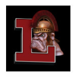 Lincoln High Class of 91 Swag t-shirts