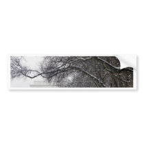 lincoln memorial winter snow bumper sticker