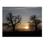 Lincolnshire Sunset Postcard