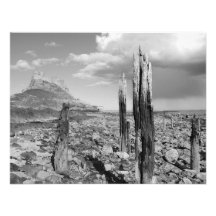 Lindisfarne Castle Custom Invites