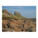 Lindisfarne Castle Holy Island England Postcard