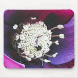 Line Drawing - The Hellebore mousepads