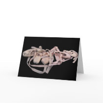 Line of Ballet Shoes Greeting Card