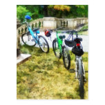 Line of Bicycles in Park Postcards