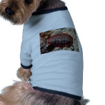 Lined chiton (Tonicella lineata) Shell Pet T Shirt