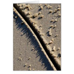 Lines cards