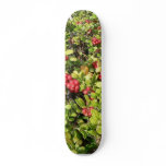 Lingonberries Big Bush skateboards