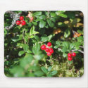 Lingonberry Mousepad