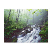 Linn Cove Creek cascading through foggy Postcards