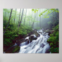 Linn Cove Creek cascading through foggy