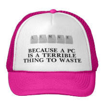 Linux, because a PC is a terrible thing to waste Mesh Hat