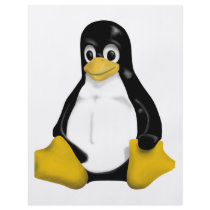 Linux Products & Designs! Full Color Flyer