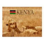 Lion and cub, Tsavo, Kenya Post Card