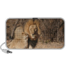 Lion and Lion Cub Speakers