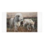 Lion as king personalized photo card