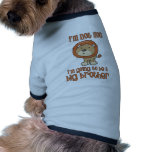 lion big brother pet clothing