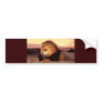 Lion Bumper Stickers