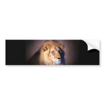 Lion Bumper Stickers