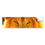 Lion Bumper Sticker