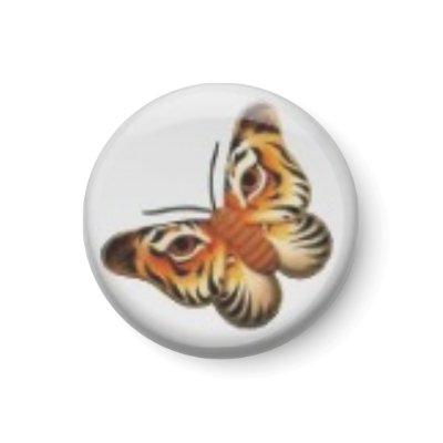 Lion Butterfly Magnet by catwoman62