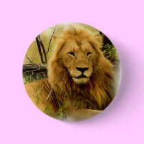 Lion buttons