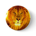 Lion buttons